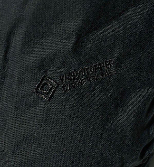 BEAUTY&YOUTH UNITED ARROWS「＜THE NORTH FACE＞オルタレーション シエラ ジャケット」|ダウン|