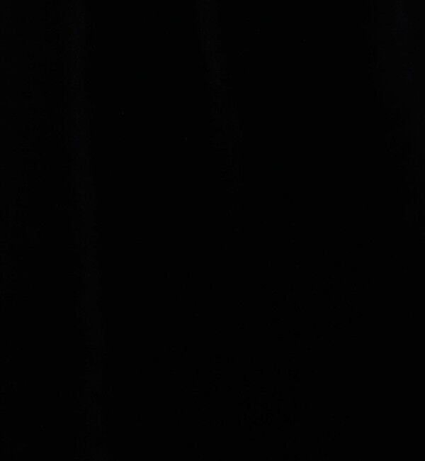 Ballsey「マットベロア イージーストレートパンツ」|その他|