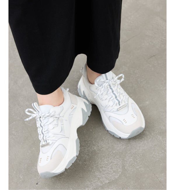  「STEVE MADDEN/スティーブ マデン ANIMATES」|スニーカー|