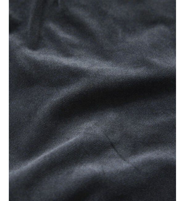 VIS「フロッキーグルカショートパンツ」|チノ|