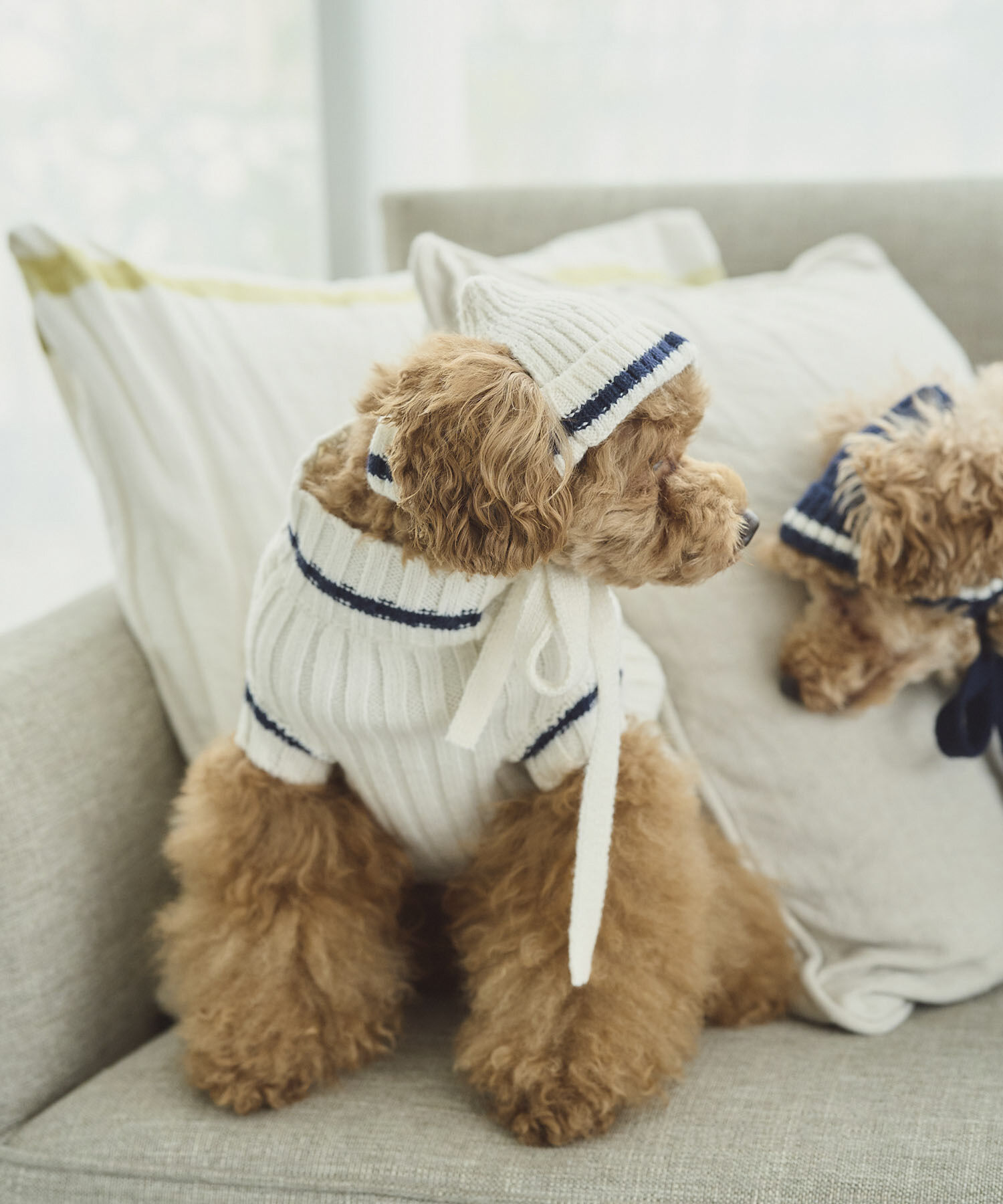 ROPE PICNIC PASSAGE「【DOG】リブ切り替えニットワッチ」|その他|