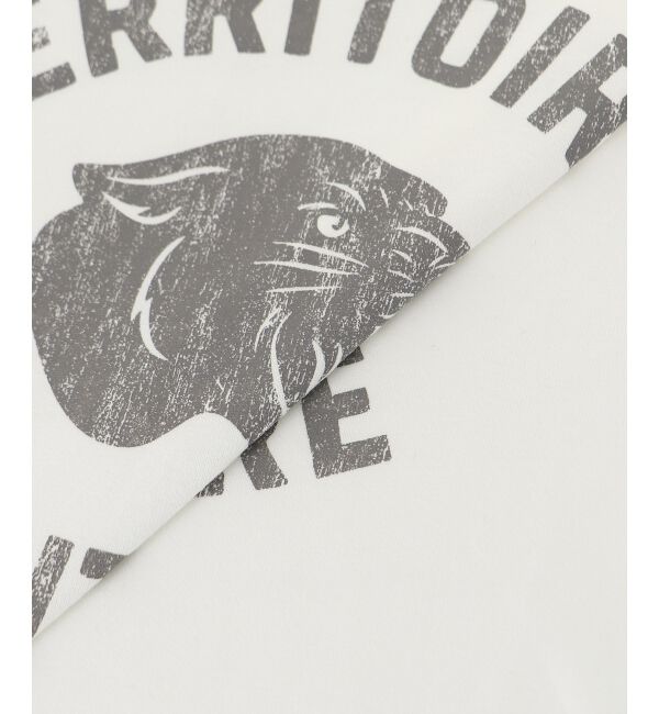  「ヴィンテージライクロゴロングTシャツ」|Tシャツ・カットソー|