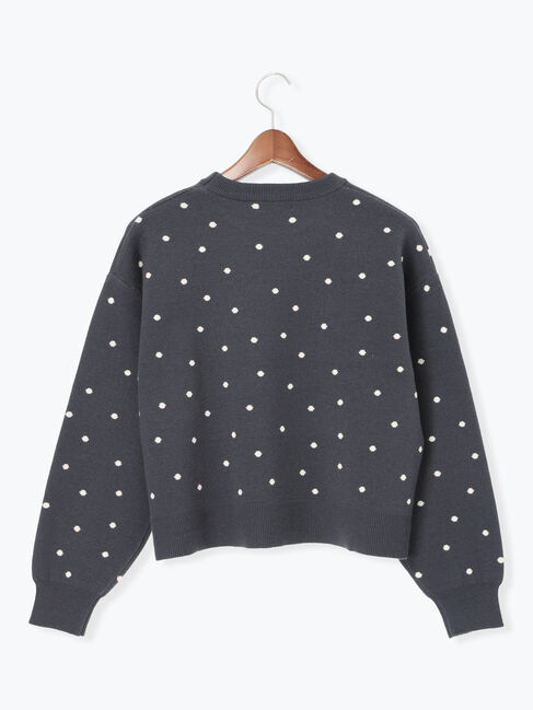 Te chichi TERRASSE「ドットジャカードクルーネックニット」|ニット・セーター|