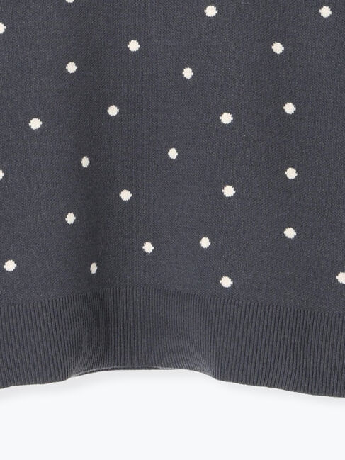 Te chichi TERRASSE「ドットジャカードクルーネックニット」|ニット・セーター|