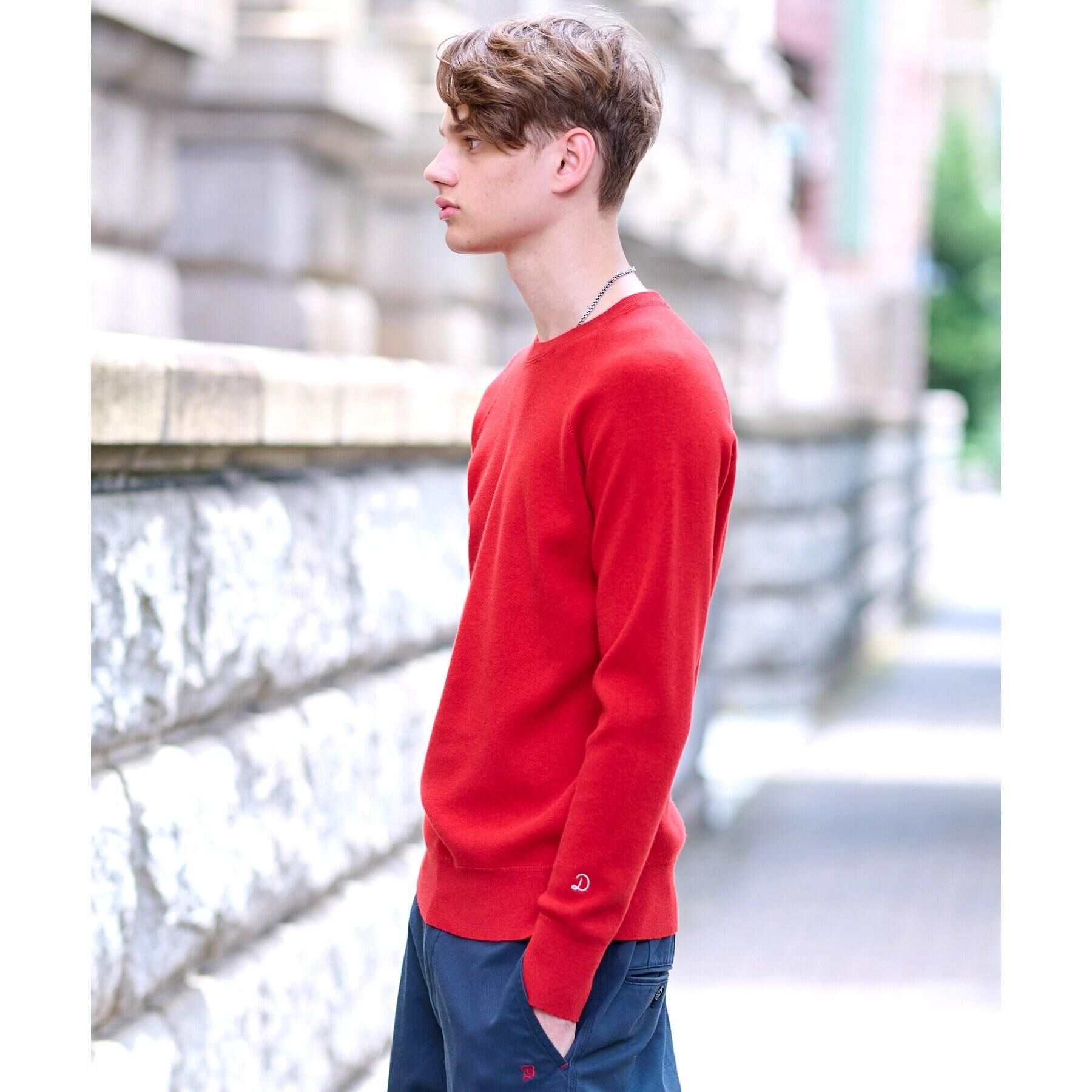 DRESSTERIOR「ウォッシャブル コットンカシミヤスムースニット」|ニット・セーター|