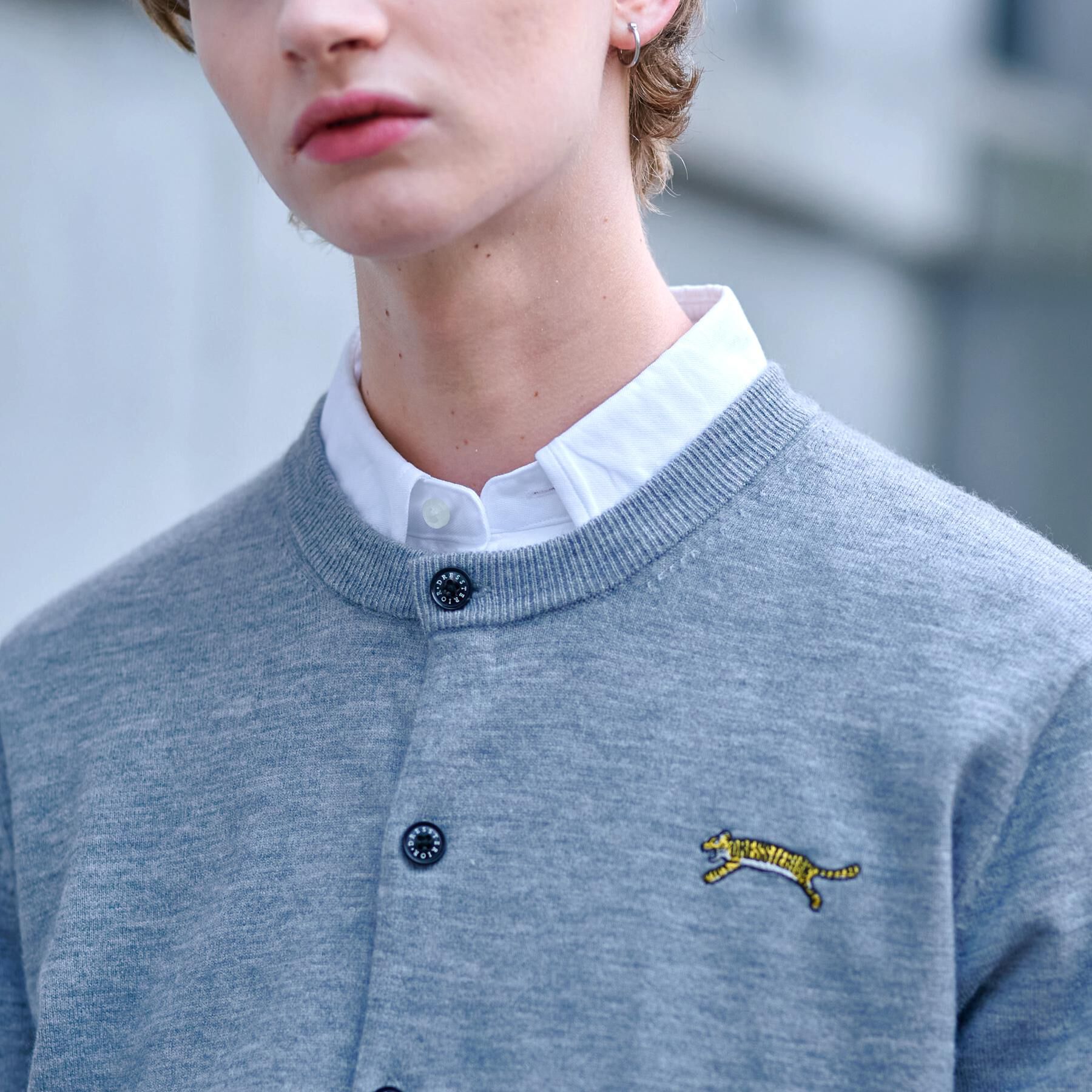 DRESSTERIOR「【Monomax11月号掲載】タイガーエンブロイダリー ラウンドネックカーディガン」|カーディガン|