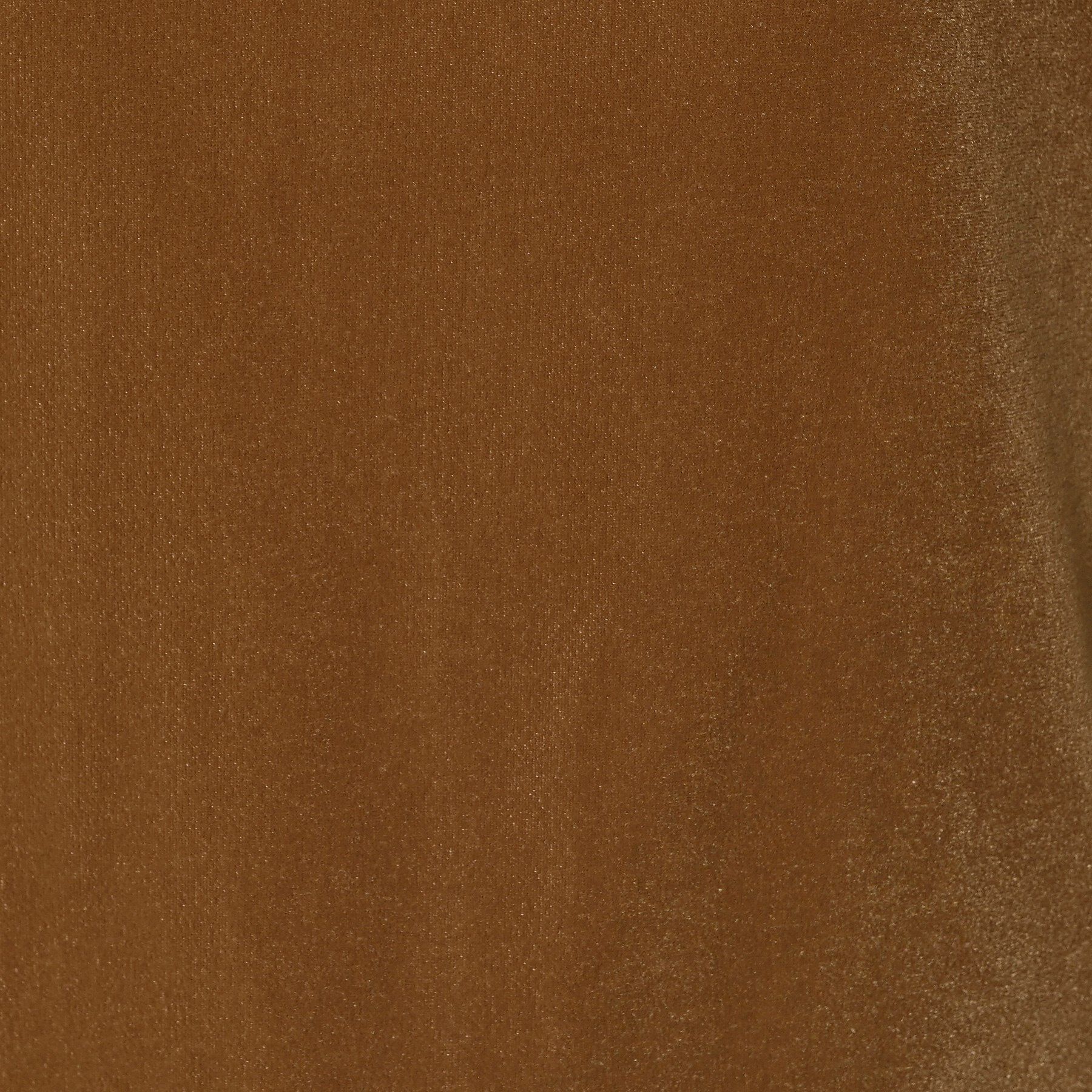 Dessin「【洗える】シアーベロアトップス」|Tシャツ・カットソー|