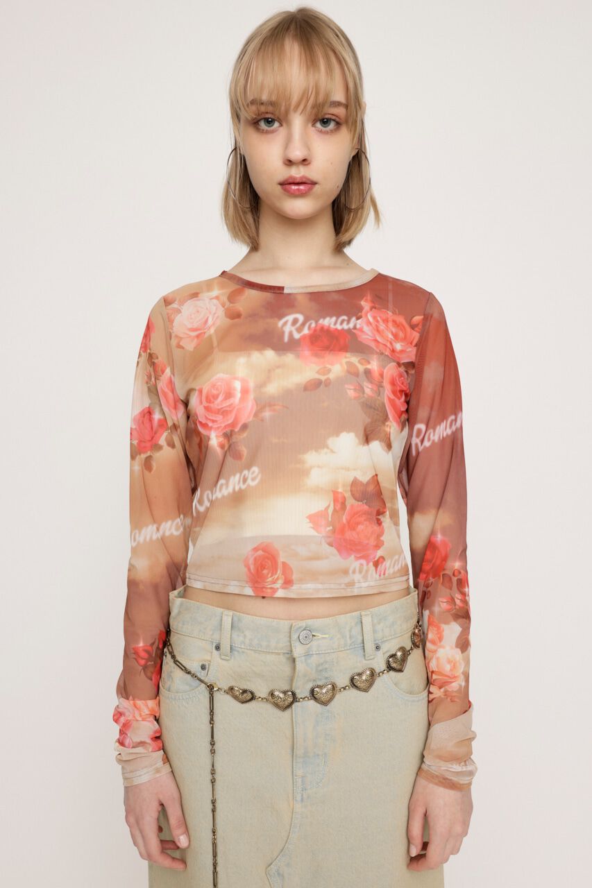 SLY「GRAPHICAL SHEER トップス」|Tシャツ・カットソー|M/BRN7