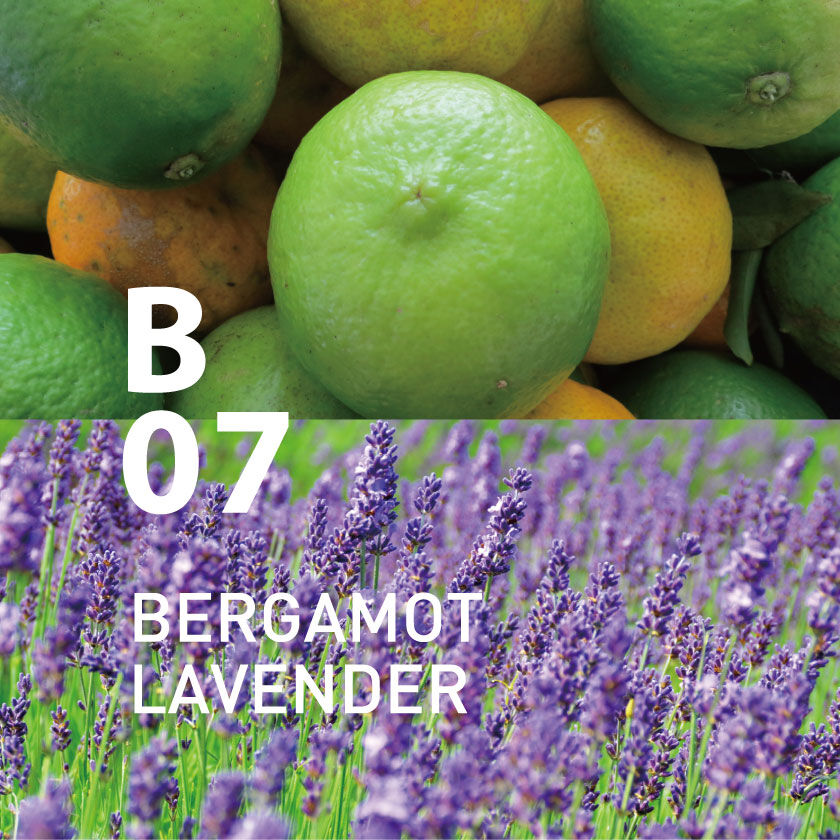 アットアロマ「B07 ベルガモットラベンダー ピエゾアロマオイル 100ml」|その他|