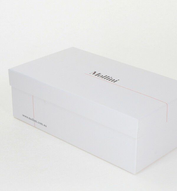 BEAUTY&YOUTH UNITED ARROWS「＜mollini＞FLOLA メッシュ ローファー」|ローファー|