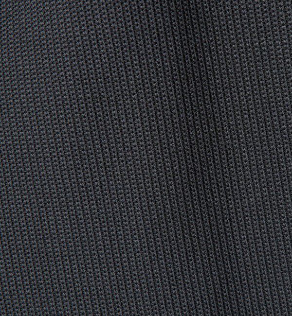 BEAUTY&YOUTH UNITED ARROWS「＜LACOSTE for BEAUTY&YOUTH＞ワントーン ロゴ パンツ」|チノ|