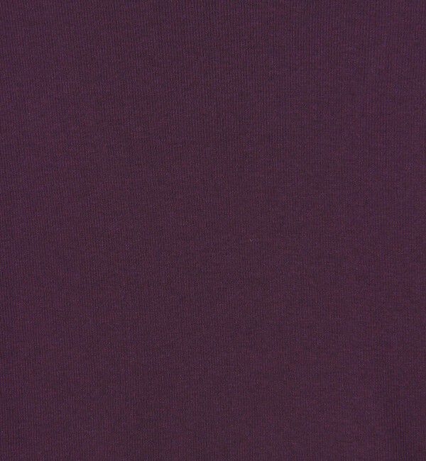 STEVEN ALAN「＜Steven Alan＞コットン シルク リブ クルーネック カットソー」|Tシャツ・カットソー|