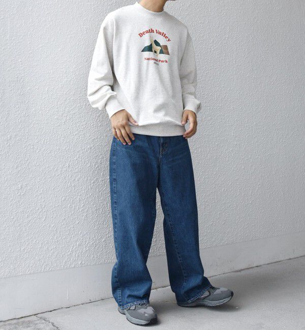 SHIPS any「【WEB限定】SHIPS any: NATIONAL PARK プリント スウェット 25AW(ユニセックス)◇」|スウェット・ジャージ|