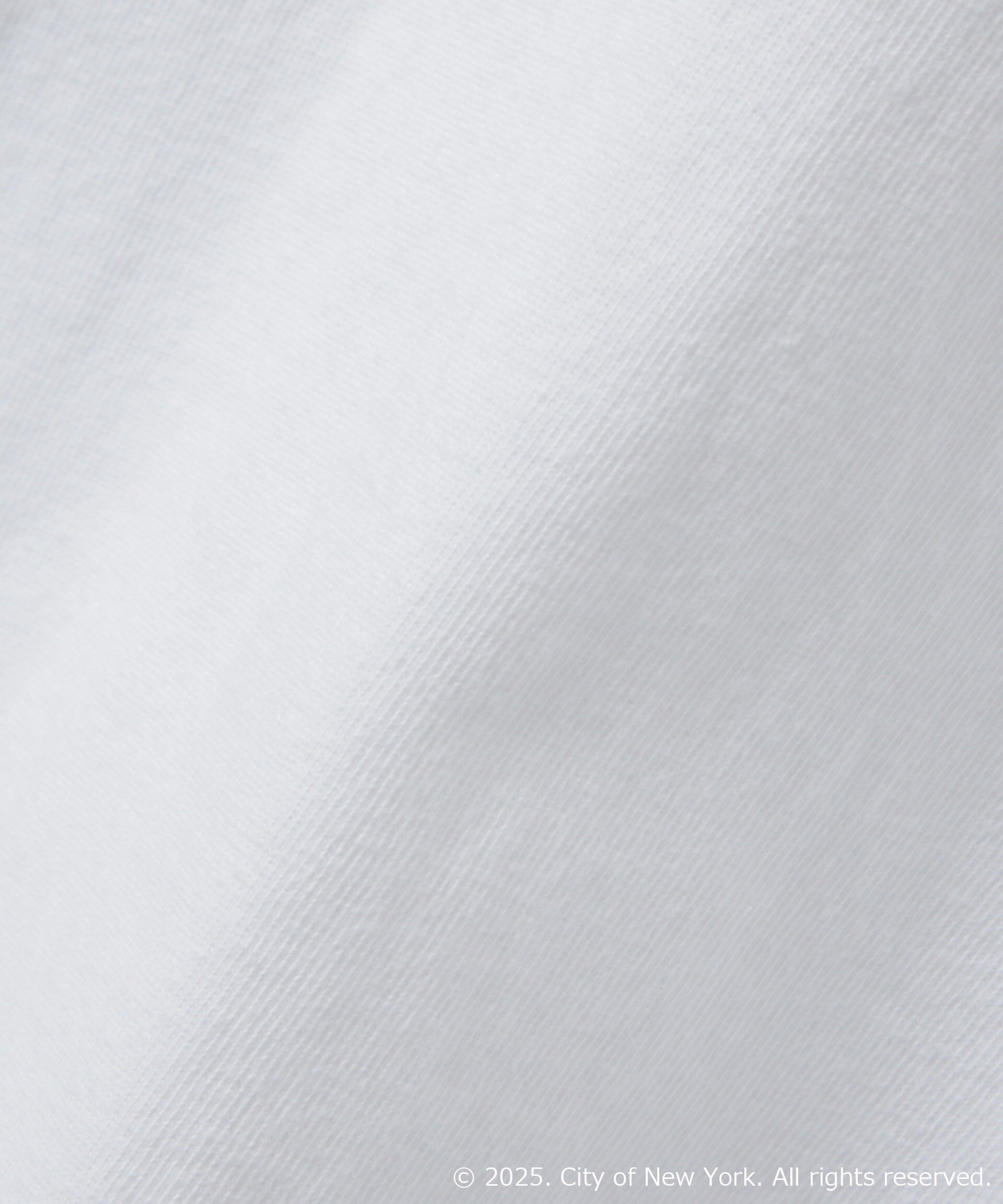 nano･universe「別注GOOD ROCK SPEED NYC シルバー箔プリントTシャツ」|Tシャツ・カットソー|