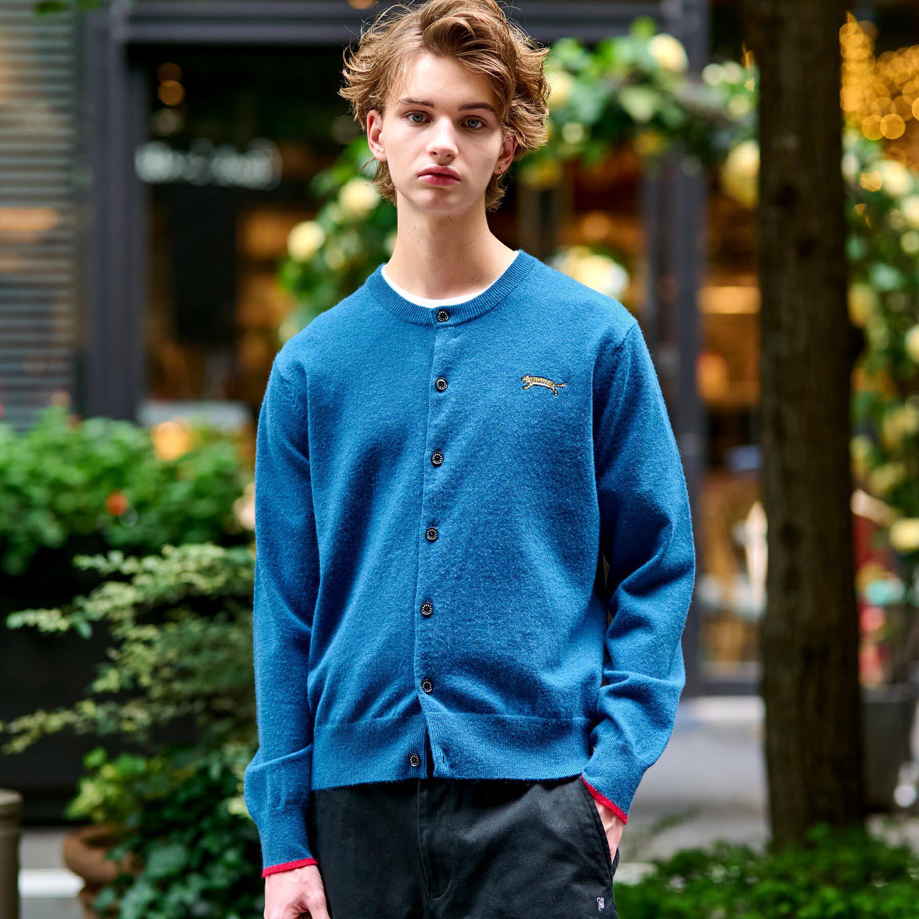 DRESSTERIOR「【Monomax11月号掲載】タイガーエンブロイダリー ラウンドネックカーディガン」|カーディガン|ブルー(093)