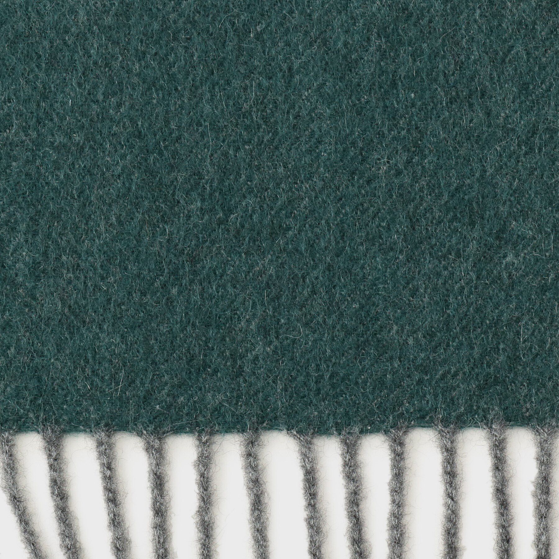 TAKEO KIKUCHI「【洗えるカシミヤ】大きめシングルリバー マフラー」|ストール|