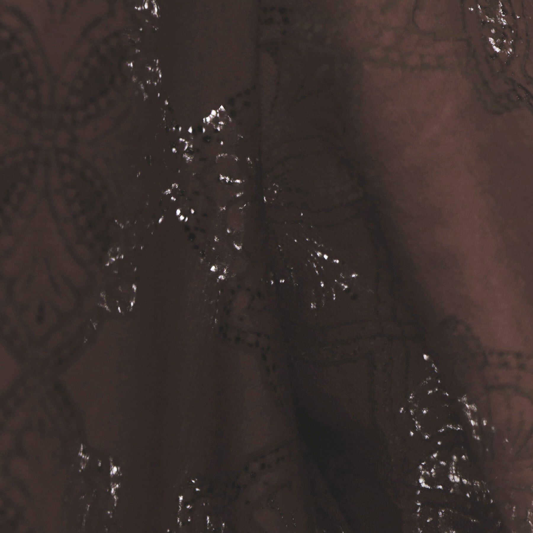 OPAQUE.CLIP「レースフレアブラウス【洗濯機洗い可】」|シャツ・ブラウス|