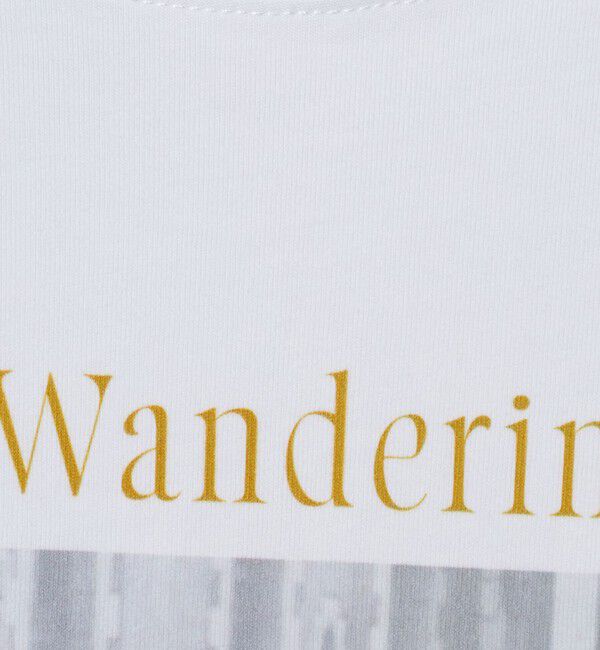 UNITED ARROWS green label relaxing「【WEB限定】＜at ease＞アソート フォト  ロングスリーブ カットソー」|Tシャツ・カットソー|