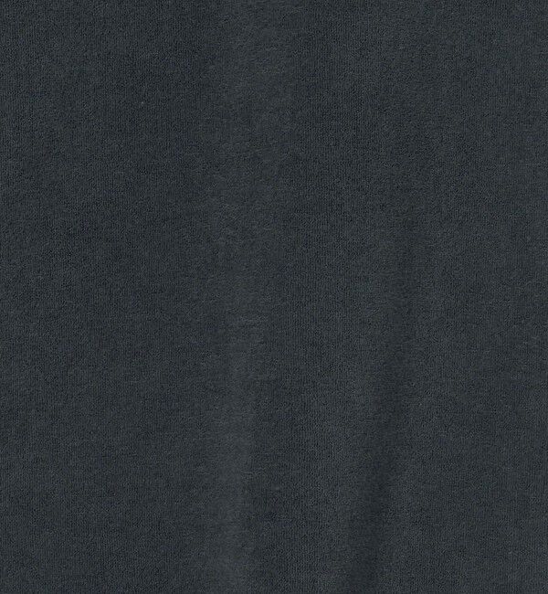 BEAUTY&YOUTH UNITED ARROWS「＜LACOSTE for BEAUTY&YOUTH＞ 1トーン パイル Tシャツ」|Tシャツ・カットソー|