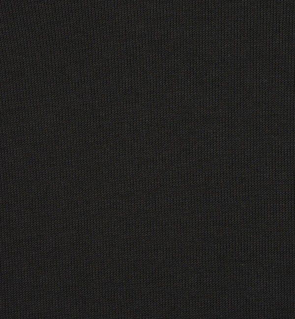 STEVEN ALAN「＜Steven Alan＞ ダブルフェイス モックネック カットソー BOLD」|Tシャツ・カットソー|