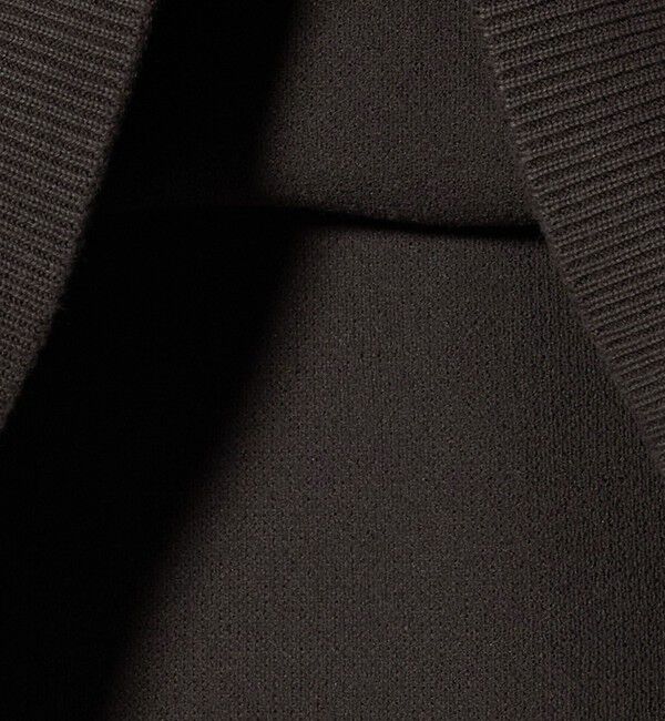 BEAUTY&YOUTH UNITED ARROWS「＜LACOSTE for BEAUTY&YOUTH＞クルーネック スウェット」|ニット・セーター|