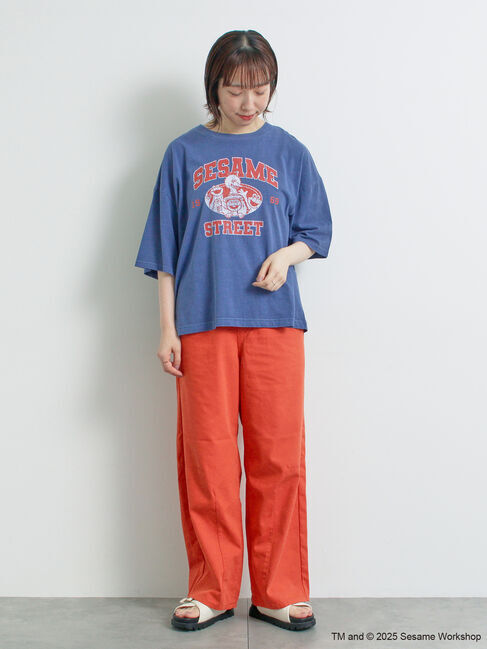 SM2「【SESAME STREET meets SM2】プリントアソートTシャツ」|Tシャツ・カットソー|