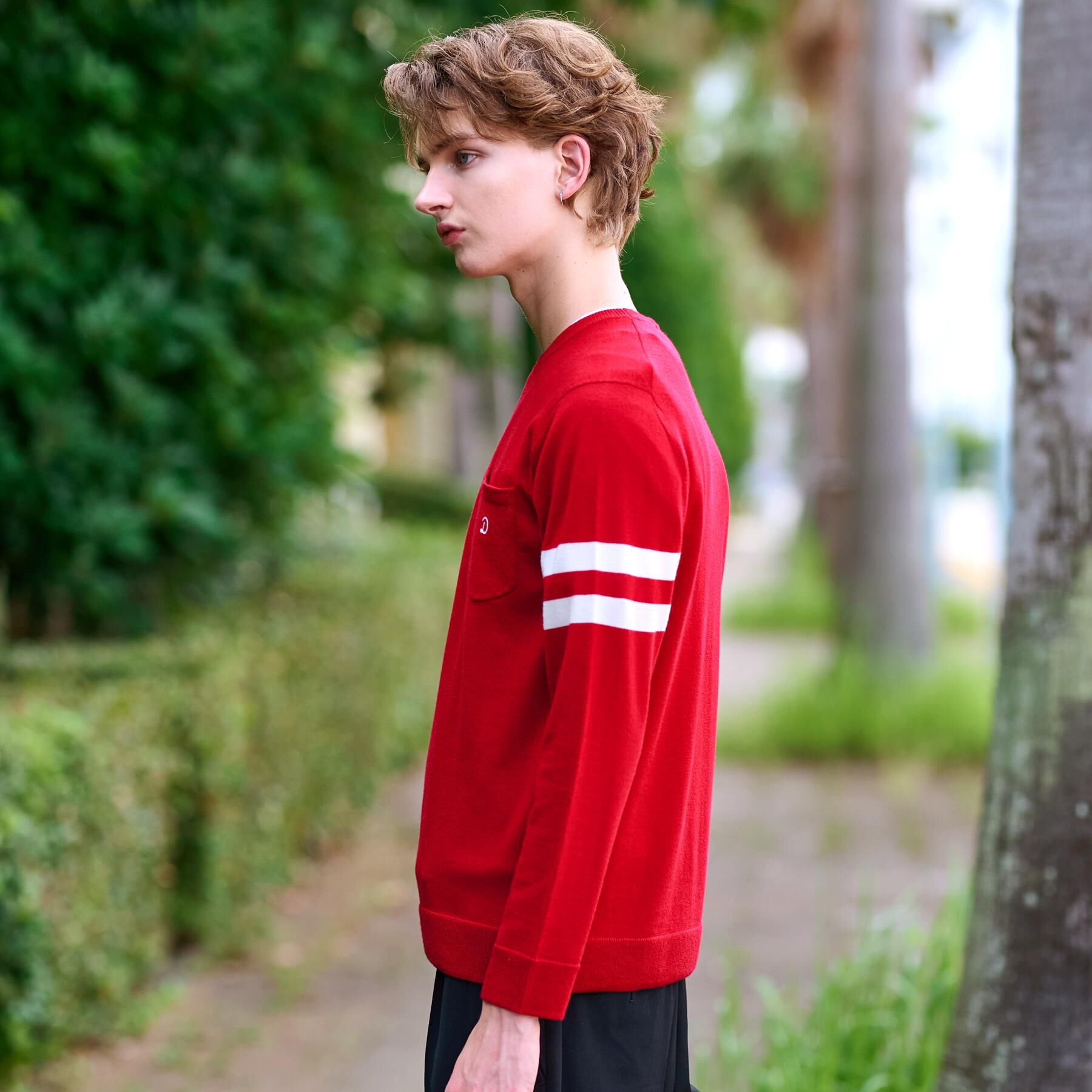 DRESSTERIOR「ウォッシャブルファインメリノ クルーネックニット」|ニット・セーター|