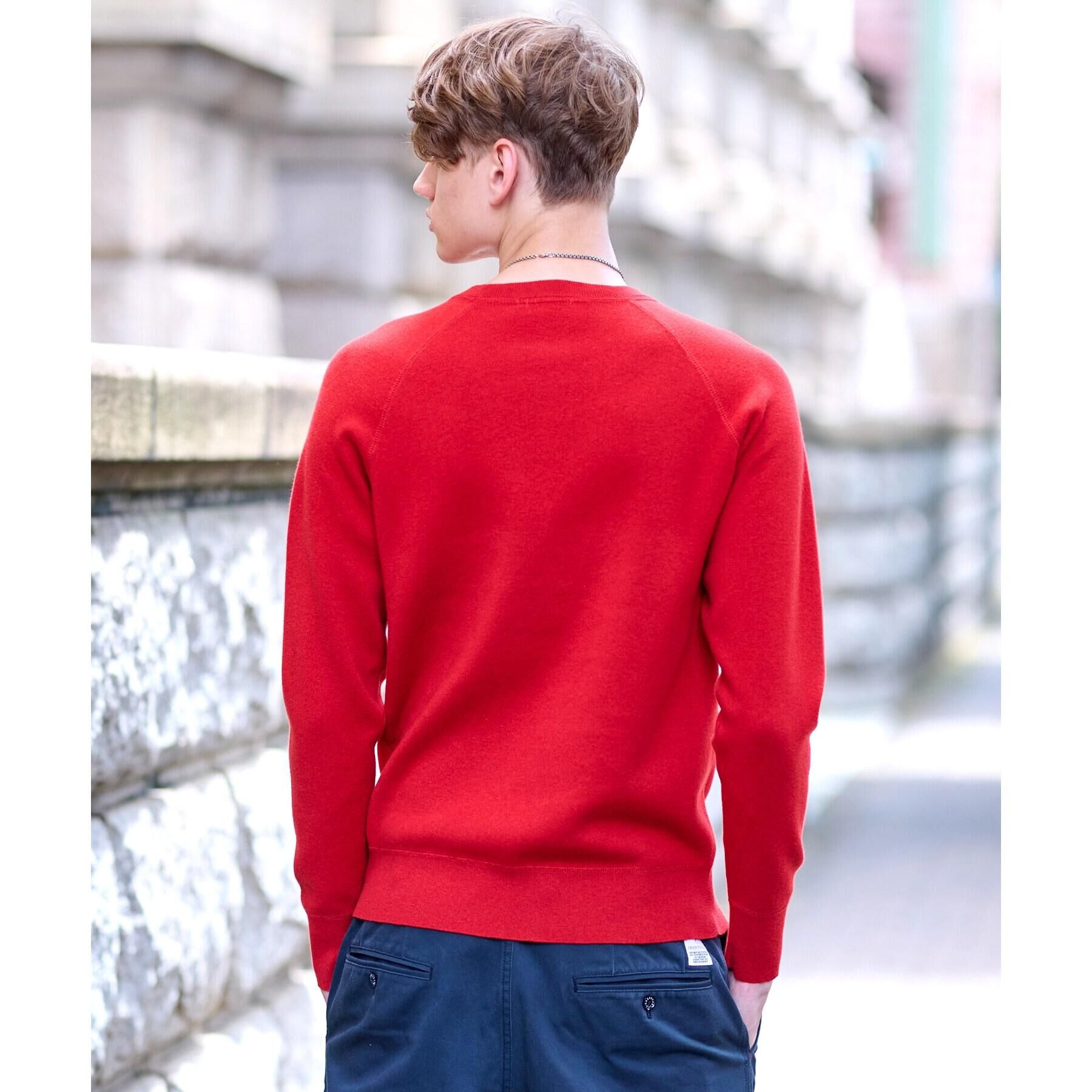 DRESSTERIOR「ウォッシャブル コットンカシミヤスムースニット」|ニット・セーター|