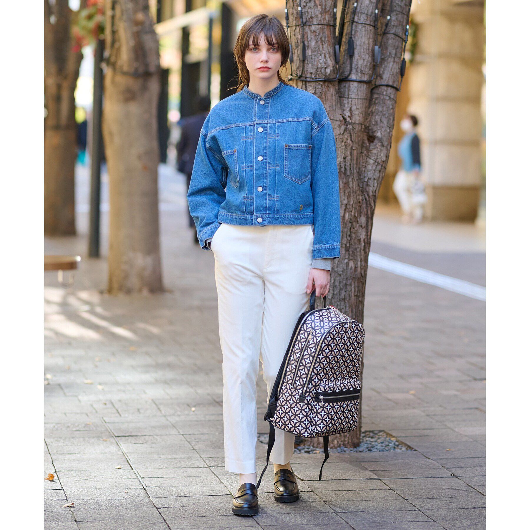 DRESSTERIOR「ヴィンテージバンドカラーGジャン」|デニムジャケット|