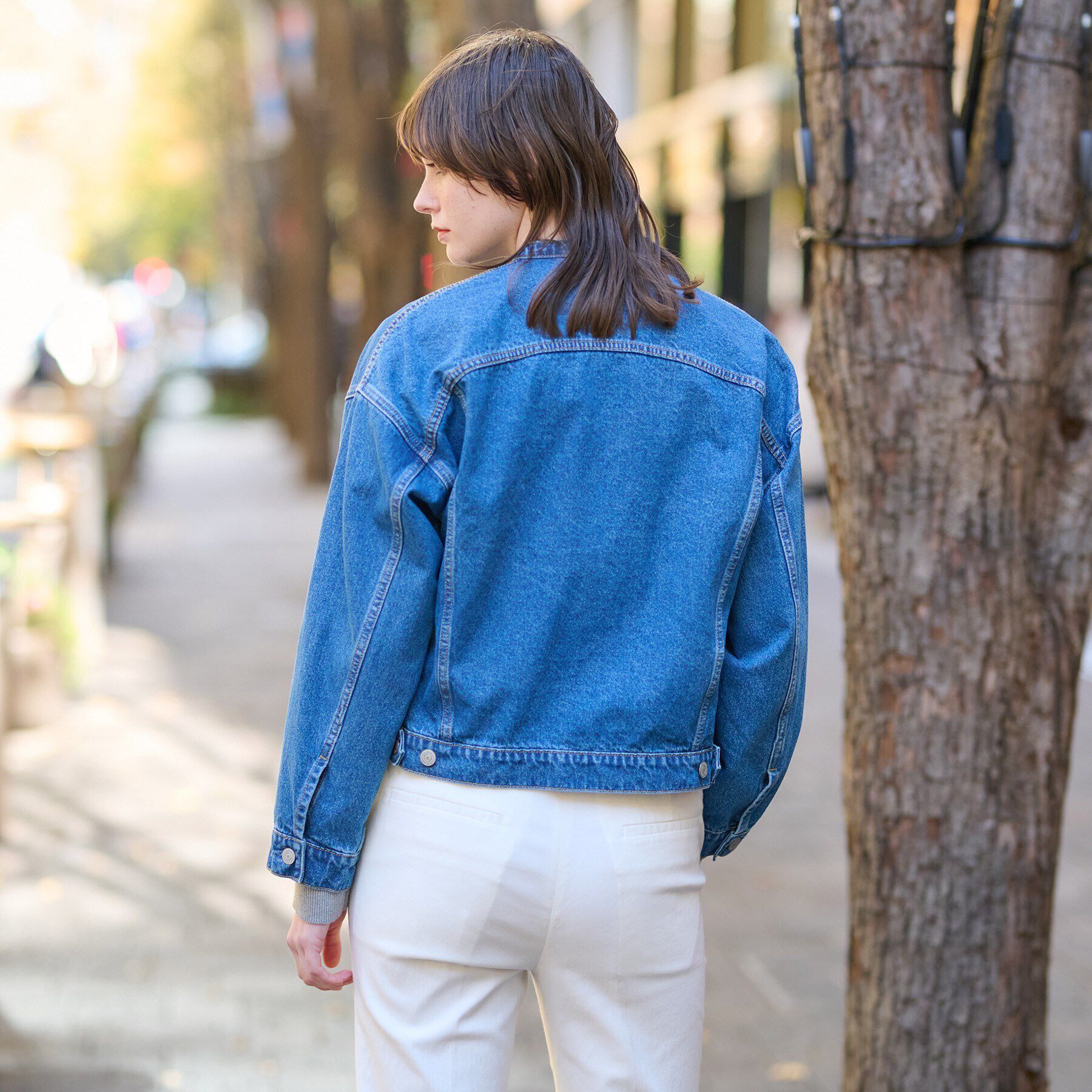 DRESSTERIOR「ヴィンテージバンドカラーGジャン」|デニムジャケット|