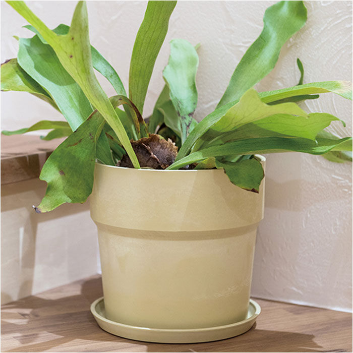 BACKYARD FAMILY「植木鉢 プラスチック おしゃれ 6号 通販 鉢カバー 6号鉢 プランター プランターカバー 植木」|その他|