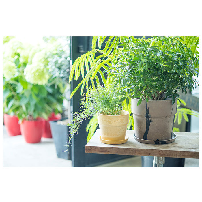 BACKYARD FAMILY「植木鉢 プラスチック おしゃれ 6号 通販 鉢カバー 6号鉢 プランター プランターカバー 植木」|その他|