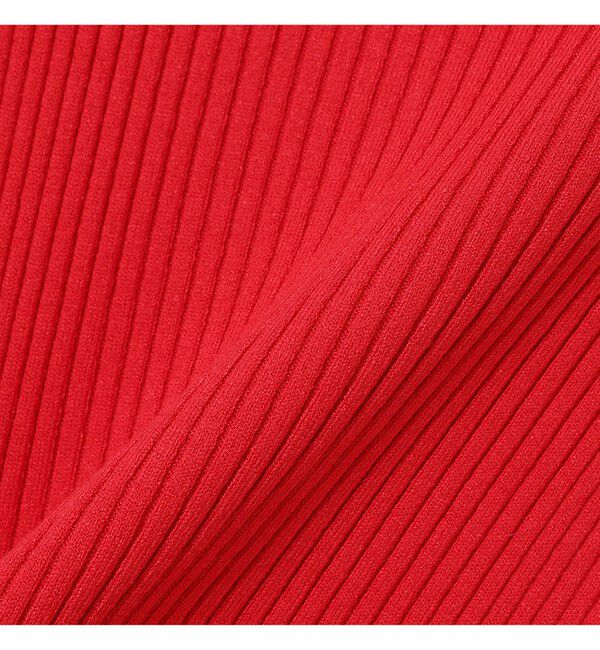 Ray BEAMS 「14ゲージ リブ タートル ネック ニット」|ニット・セーター|