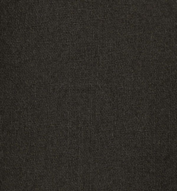 Edition「ウールメルトンポプリン 2タックワイドスラックス」|スラックス|