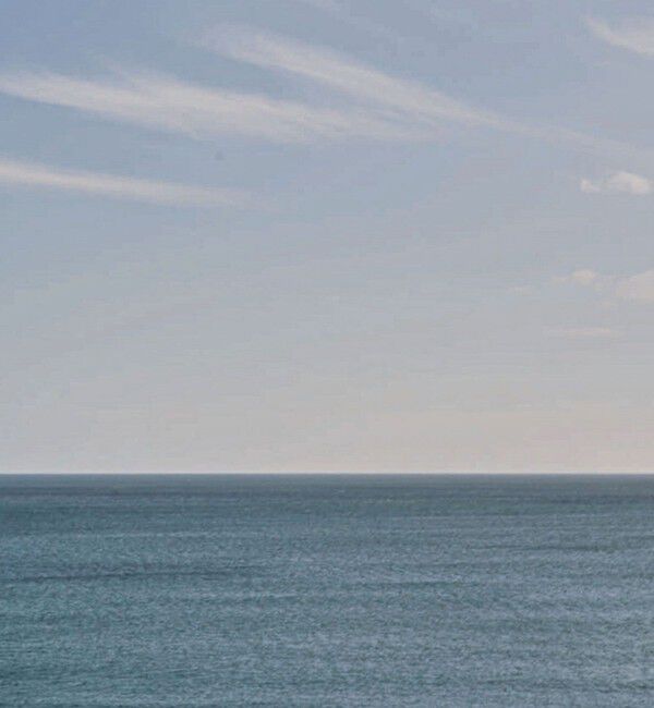 NOLLEY'S goodman「【NESK/ネスク】ビッグトートバッグ NS-010」|トートバッグ|