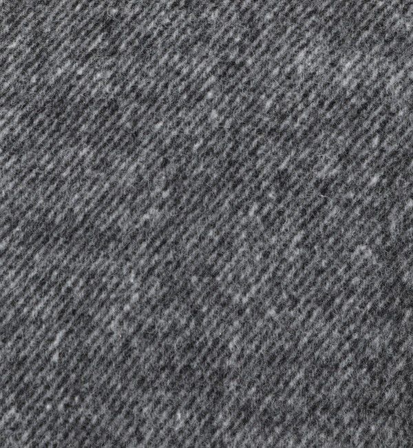 NOLLEY'S goodman「《ビジカジ対応》尾州ビーバースタンドカラーコート 25AW」|その他|