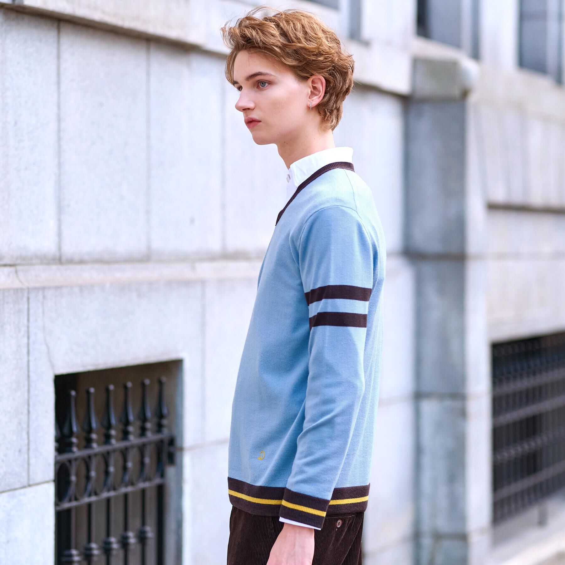 DRESSTERIOR「ウォッシャブルファインメリノ Vネックニット」|ニット・セーター|