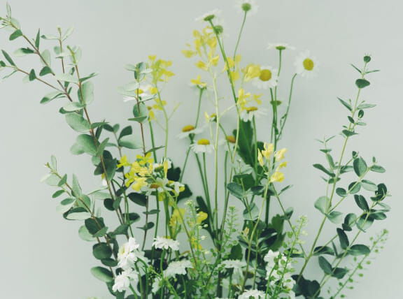 Flora Notis JILL STUART「フローラノーティス ジルスチュアート オードパルファン 100mL」|香水・フレグランス|