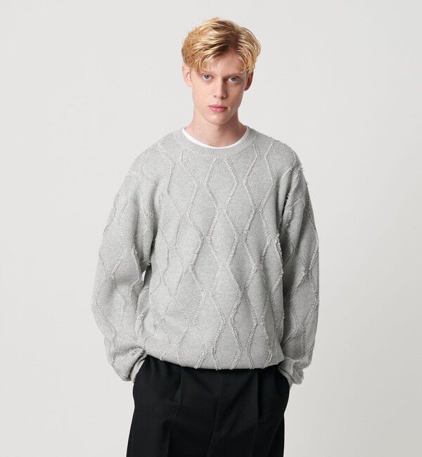 BEAUTY&YOUTH UNITED ARROWS「フリンジ パターン クルーネック ニット」|ニット・セーター|LT.GRAY