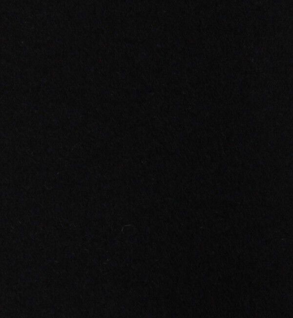 DES PRES「ダブルフェイスメルトンビーバー ウィングカラーコート」|その他|