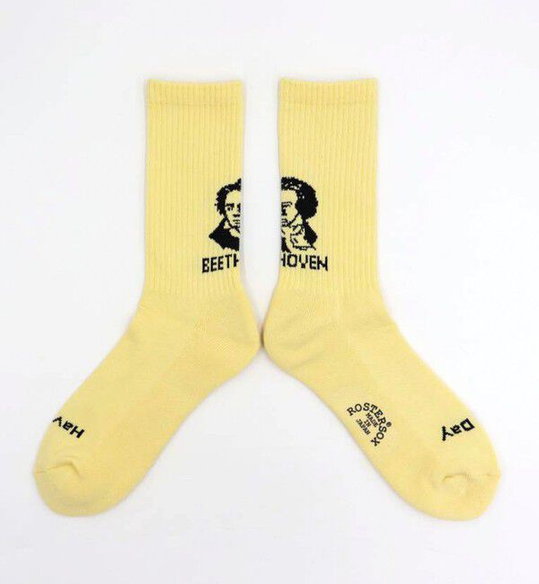 GLOSTER「【ROSTER SOX/ロスターソックス】BEETHVEN」|ソックス|