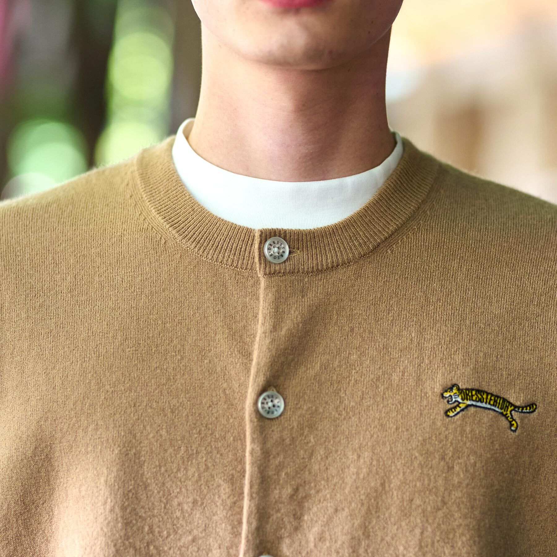 DRESSTERIOR「【Monomax11月号掲載】タイガーエンブロイダリー ラウンドネックカーディガン」|カーディガン|