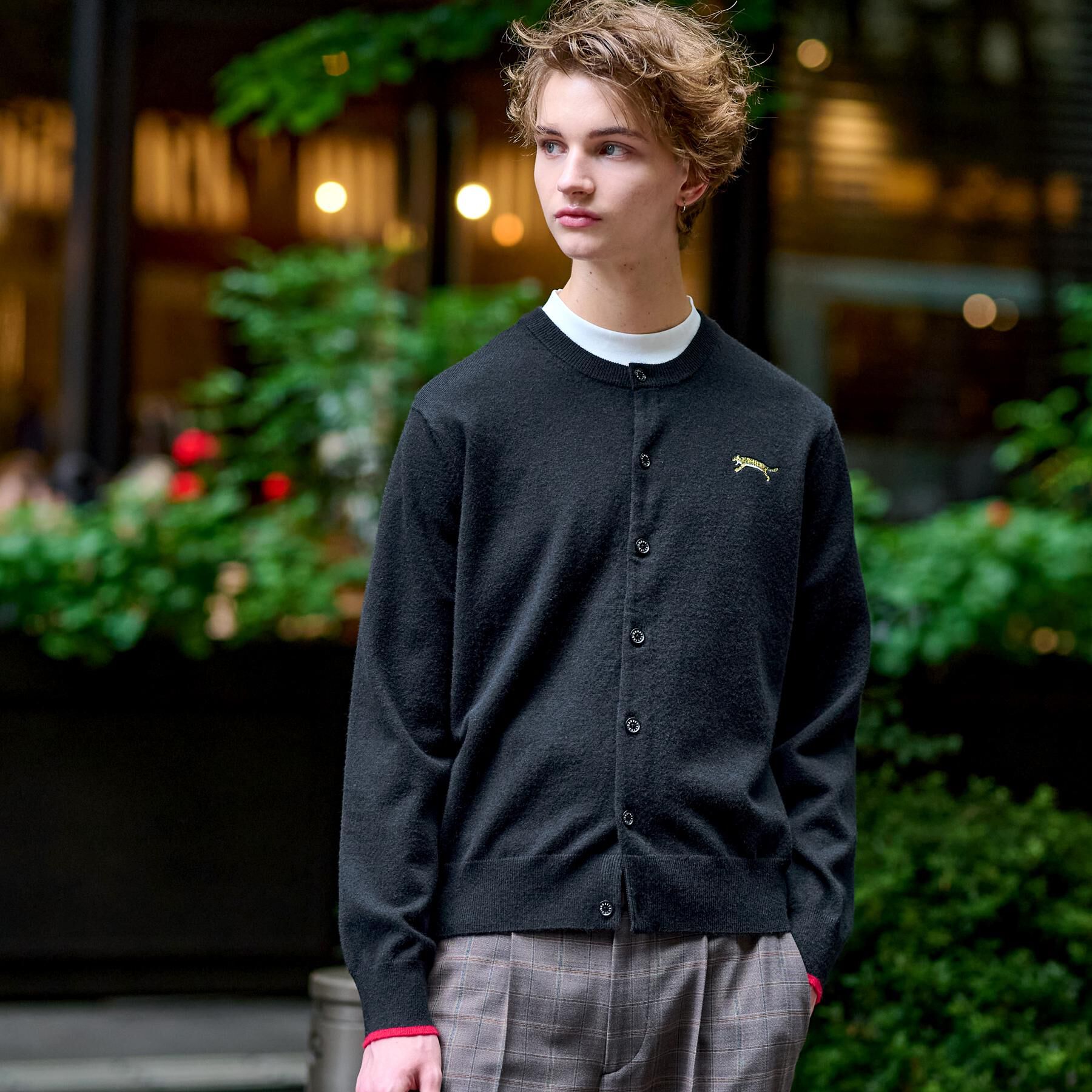 DRESSTERIOR「【Monomax11月号掲載】タイガーエンブロイダリー ラウンドネックカーディガン」|カーディガン|ブラック(019)