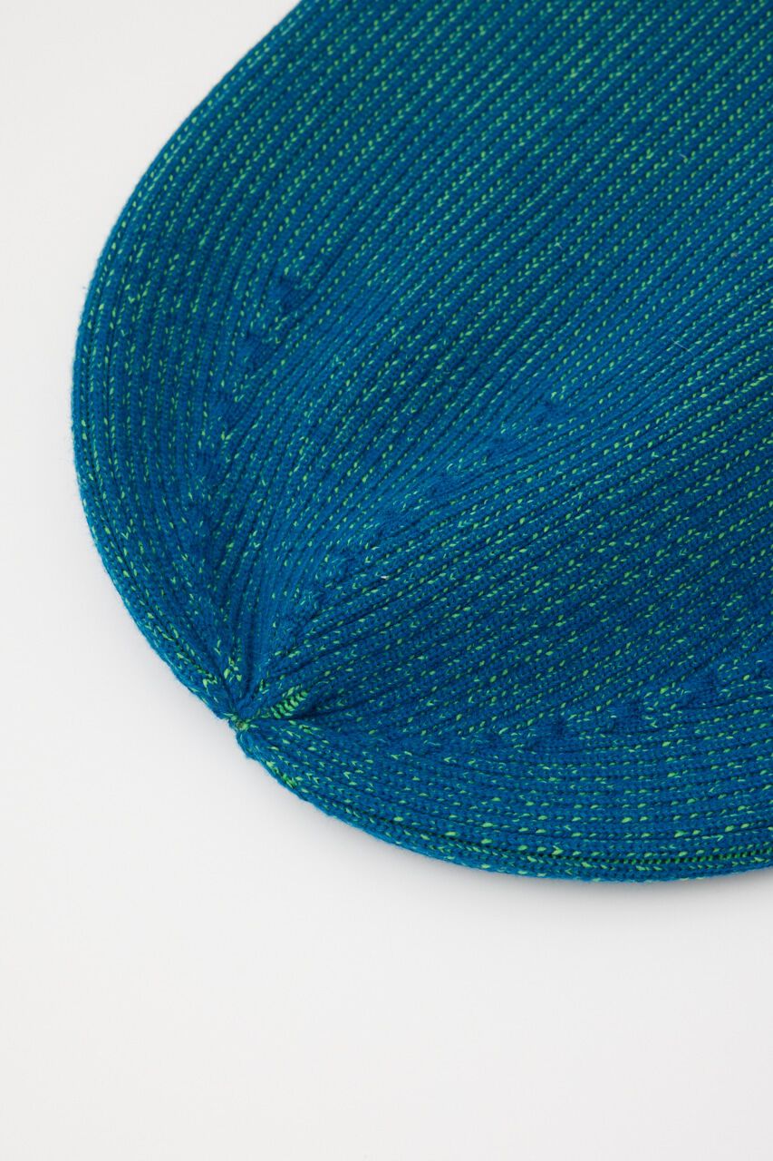 SLY「DAMAGING RIB BEANIE」|その他|