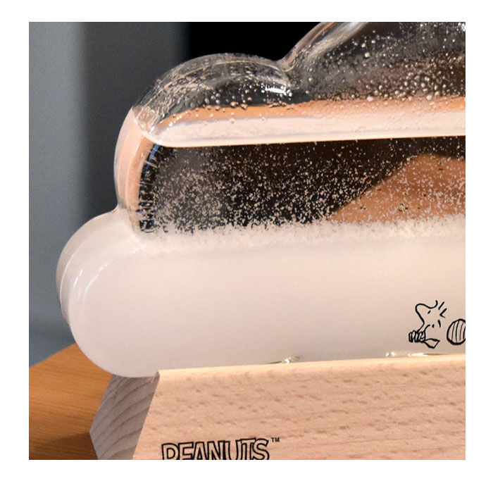 BACKYARD FAMILY「ストームグラス 雑貨 通販 キャラクター スヌーピー グッズ リラックマ 大人 向け クラウド 雲」|その他|