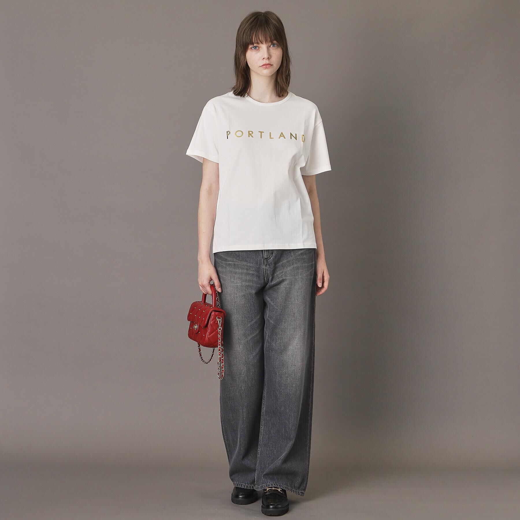 DRESSTERIOR「20／1シルケット風天竺Tシャツ」|Tシャツ・カットソー|