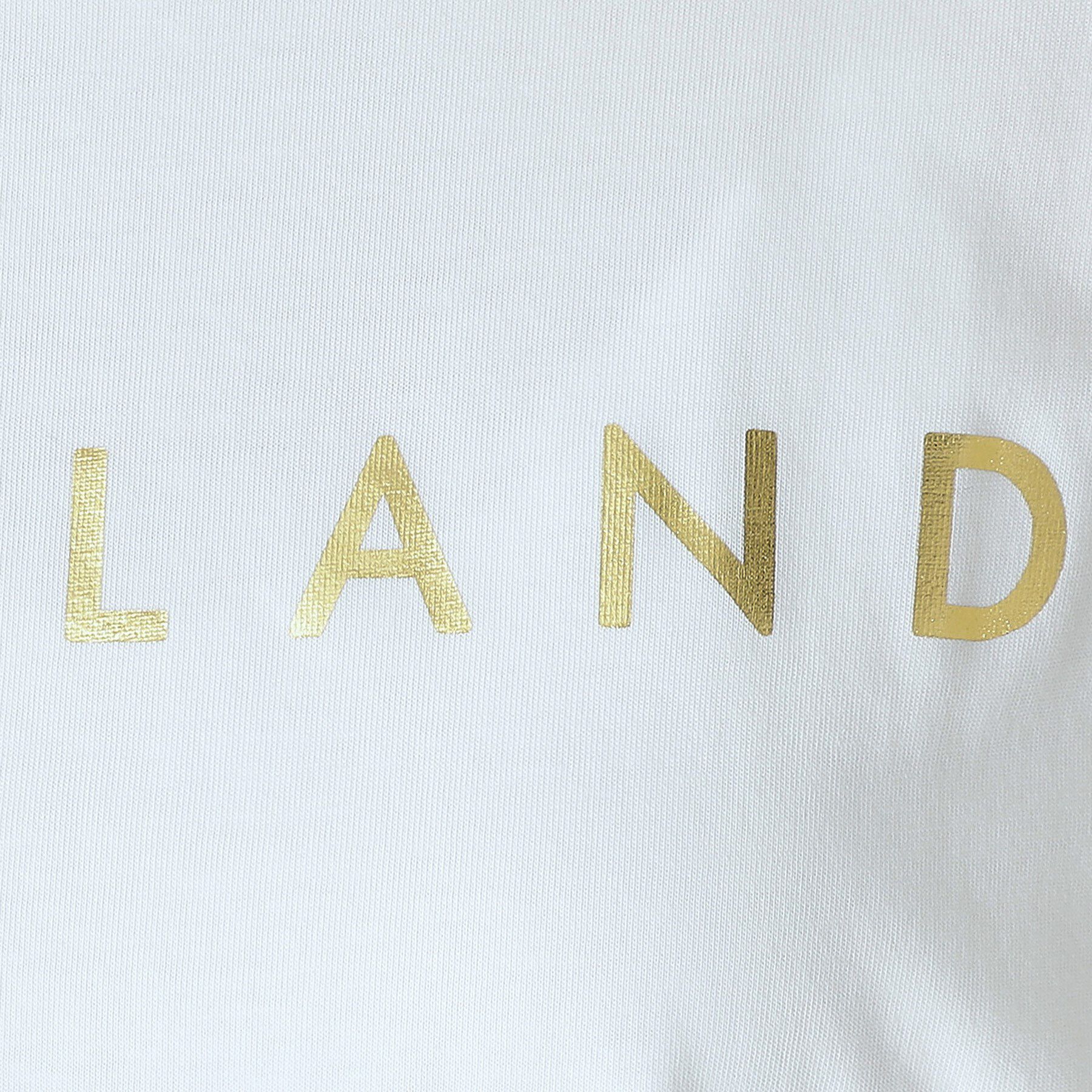 DRESSTERIOR「20／1シルケット風天竺Tシャツ」|Tシャツ・カットソー|