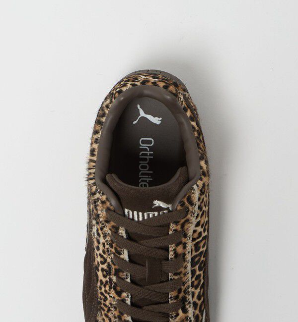 UNITED ARROWS green label relaxing「＜PUMA＞スピードキャット ワイルドスニーカー / レオパード」|スニーカー|