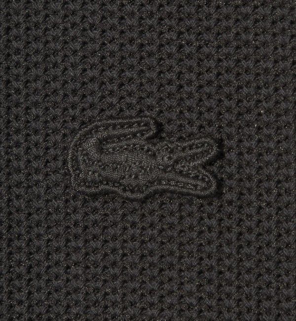 BEAUTY&YOUTH UNITED ARROWS「＜LACOSTE for BEAUTY&YOUTH＞ワントーン シャツ ジャケット」|カーディガン|