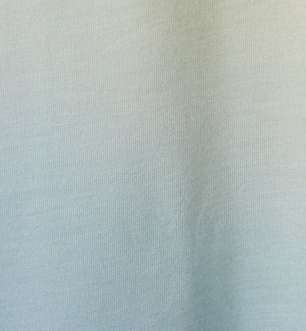 ABAHOUSE「【グラデーション】グラフィックプリント 半袖Tシャツ」|Tシャツ・カットソー|